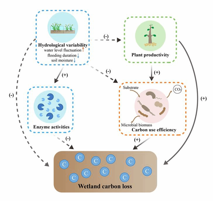 图示 AI 生成的内容可能不正确。