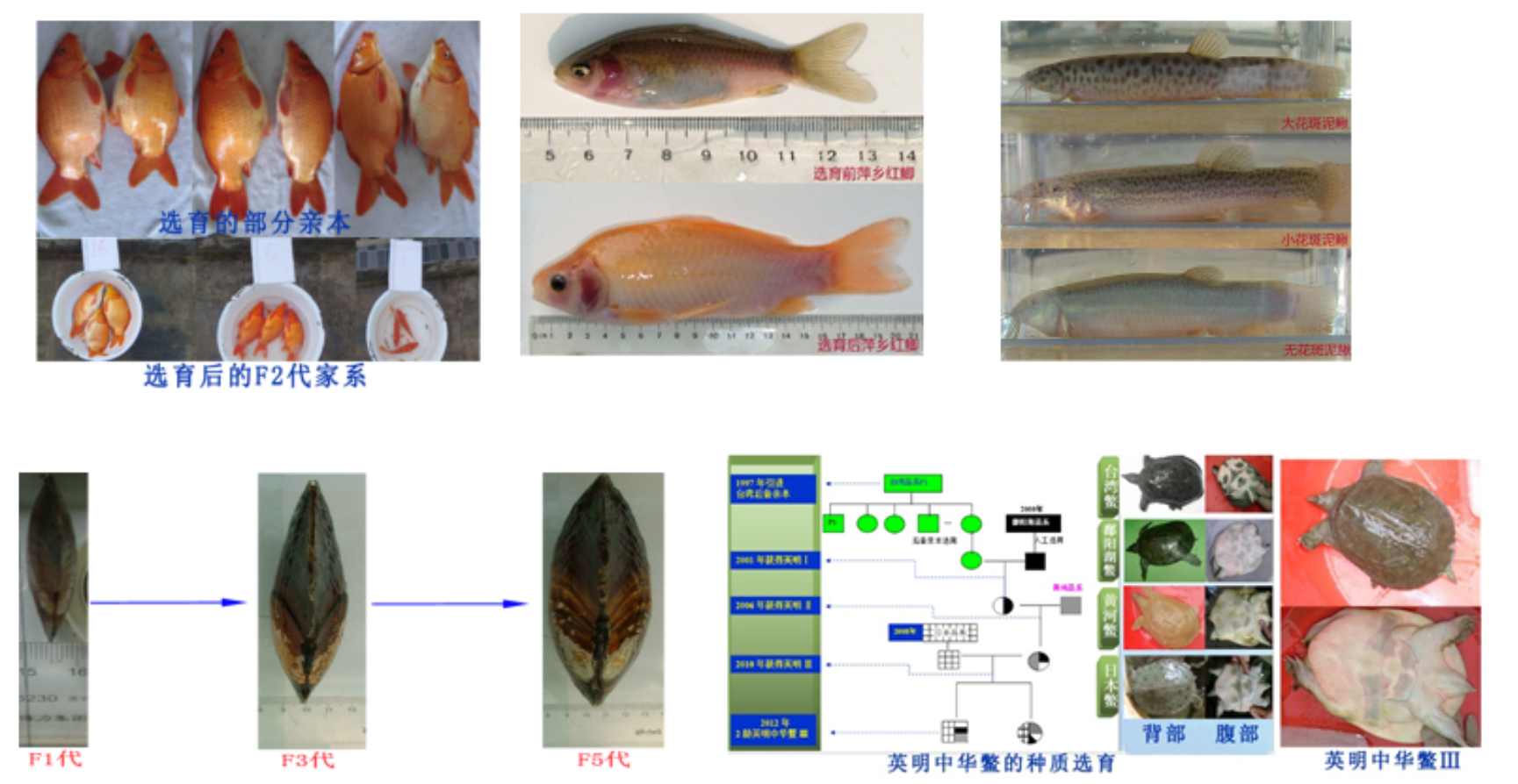 生命科学学院