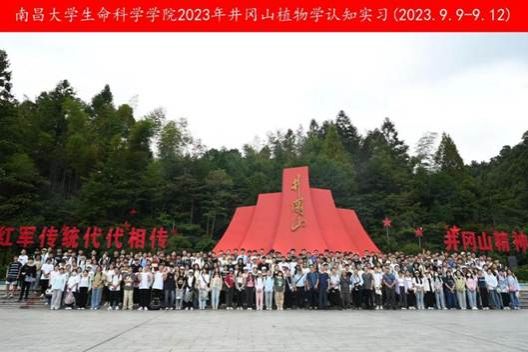 76b69dbcccb32649cd0a724a3572c2b